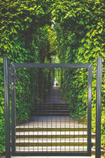 Cancello Zincato Pedonale Verde 100x150cm Con Pali Recinzione Giardino VBS