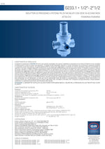 Riduttore Di Pressione a Pistone PN25 Con Sede Acciaio Inox 1/2 3/4 1" 80° C D.X