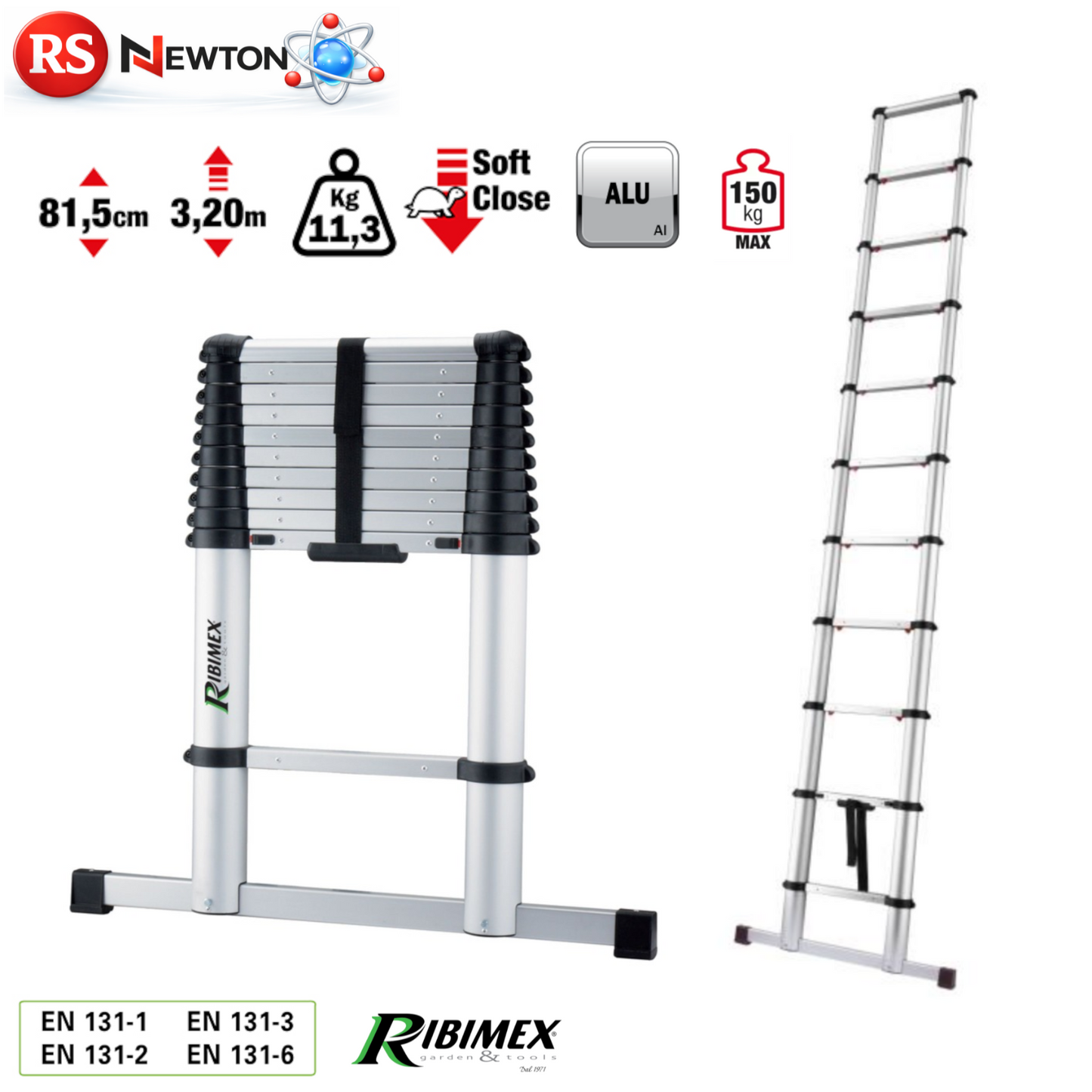 Scala Telescopica 11 Gradini in Alluminio 11.3KG Max 3,2M Portatile Multiuso D.X