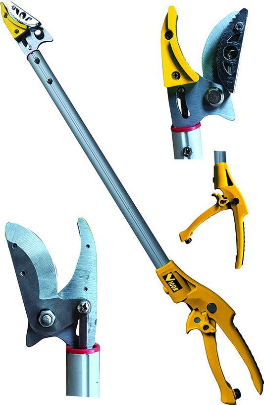 COGLIASPARAGI VIGOR LAMA ACC/MANGANESE 1 M VIGOR