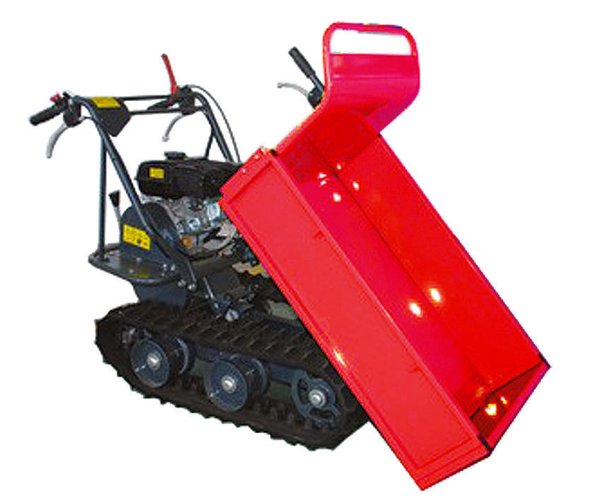 MOTOCARRIOLA ALLTERRAIN MC196